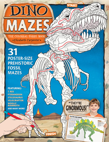 DinoMazes