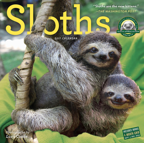 Sloths Wall Calendar 2017