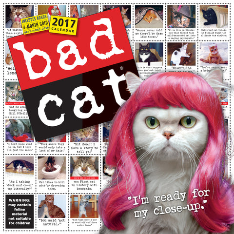 Bad Cat Wall Calendar 2017