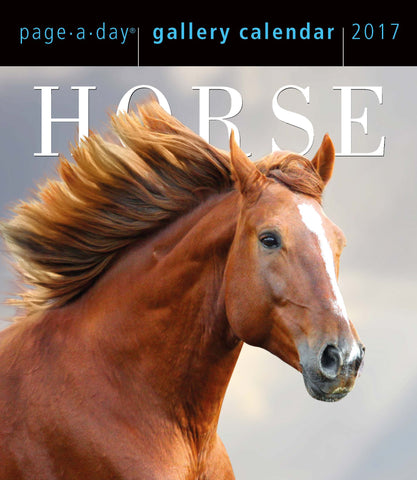 Horse Page-A-Day Gallery Calendar 2017