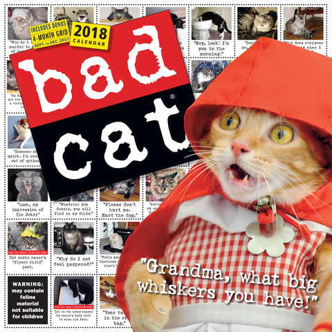 Bad Cat Wall Calendar 2018