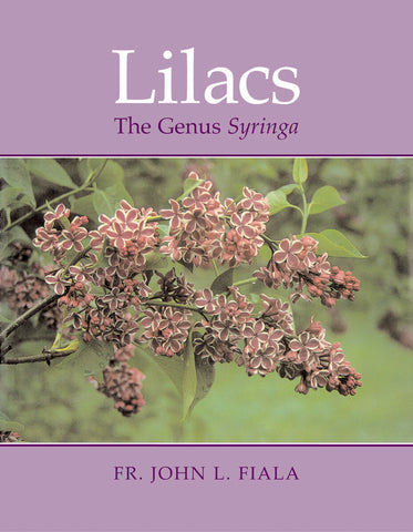 Lilacs