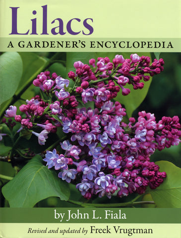 Lilacs