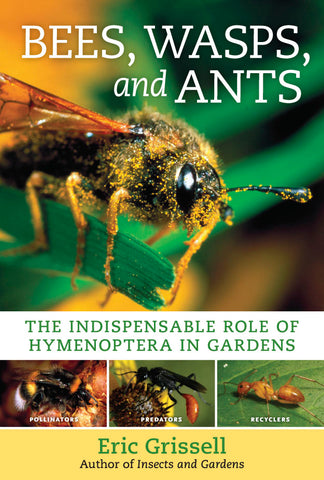 Bees, Wasps, and Ants
