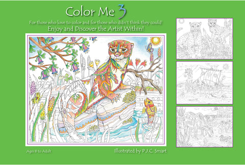 Color Me Your Way 3