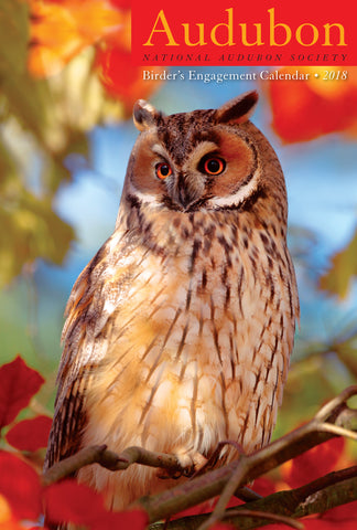 Audubon Birder's Engagement Calendar 2018
