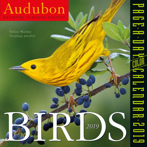 Audubon Birds Page-A-Day Calendar 2019
