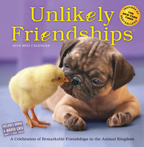 Unlikely Friendships Mini Wall Calendar 2019