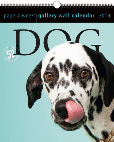 Dog Page-A-Week Gallery Wall Calendar 2019