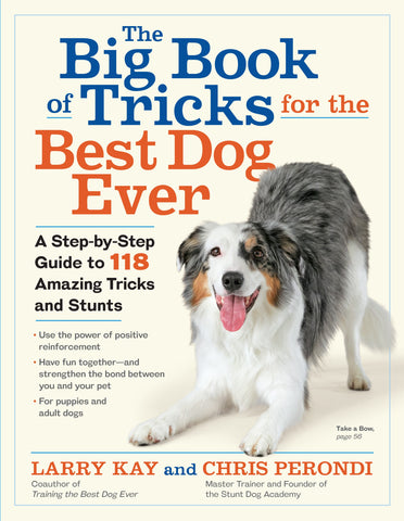 The Big Book of Tricks for the Best Dog Ever