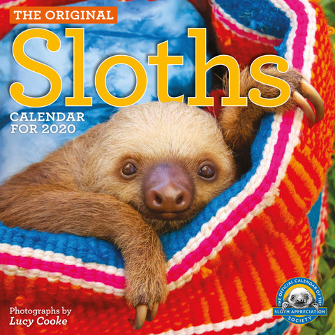 Original Sloths Wall Calendar 2020