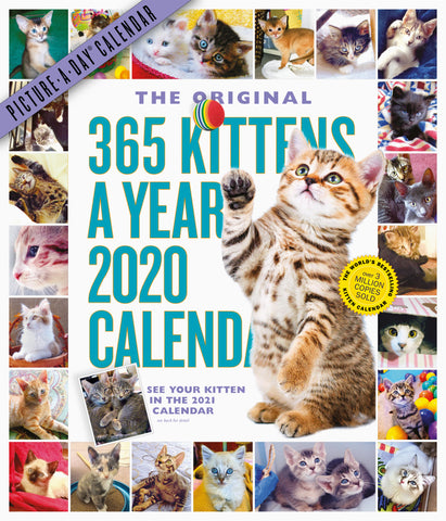 365 Kittens-A-Year Picture-A-Day Wall Calendar 2020