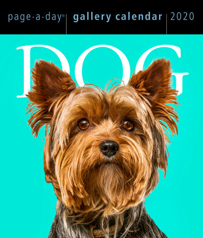 Dog Page-A-Day Gallery Calendar 2020