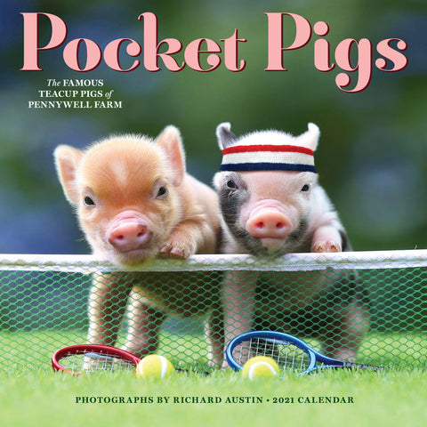The Original Pocket Pigs Wall Calendar 2021