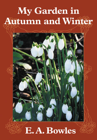 My Garden in Autumn and Winter
