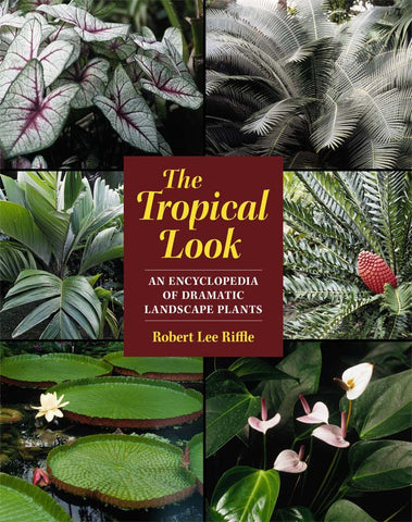 The Tropical Look