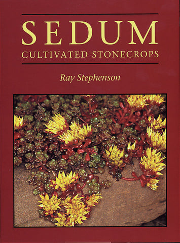 Sedum