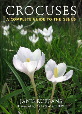 Crocuses
