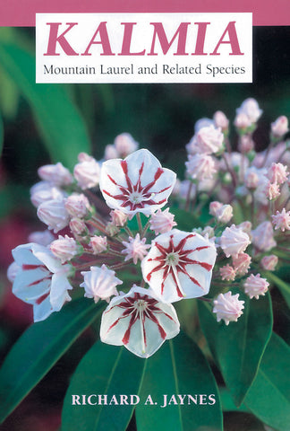 Kalmia