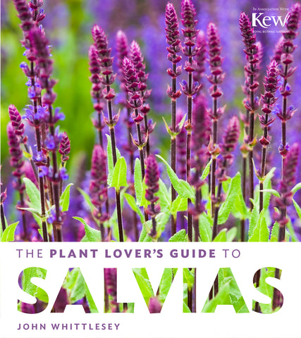 The Plant Lover's Guide to Salvias